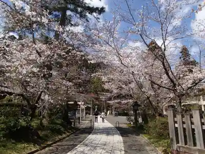 高麗神社の周辺