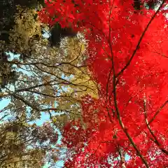 豊景神社の自然