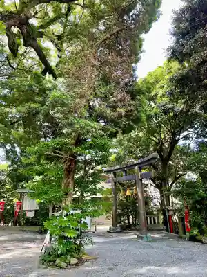 八雲神社（鎌倉・大町）(神奈川県)