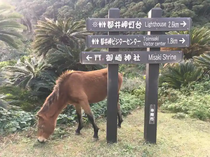 御崎神社の動物