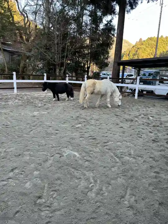 丹生川上神社(下社)の{uncategorized: "未分類", other: "その他", undefined: "問題あり", building: "その他建物", grave: "お墓", sacred_gate: "鳥居", guardian: "狛犬", statue: "像", buddha: "仏像", history: "歴史", nature: "自然", garden: "庭園", animal: "動物", pagoda: "塔", temizu: "手水舎", mountain_gate: "山門・神門", sanctuary: "本殿・本堂", subordinate: "末社・摂社", art: "芸術", scenery: "景色", jizo: "地蔵", ema: "絵馬", goshuin: "御朱印", omikuji: "おみくじ", items: "授与品その他", amulet: "お守り", goshuincho: "御朱印帳", eats: "食事", festival: "お祭り", votive_dance: "神楽", shichigosan: "七五三参", wedding: "結婚式", experience: "体験その他", initially: "初詣", around: "周辺", anti_infection: "感染症対策"}