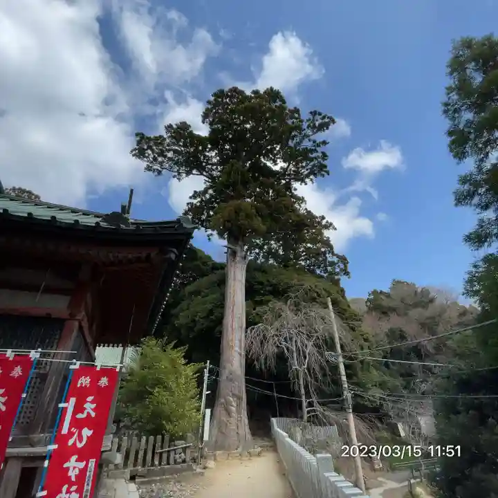 筑波山神社(茨城県)