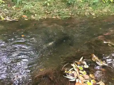 相馬神社の周辺