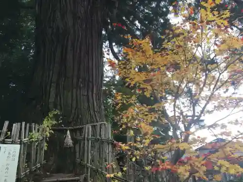 戸隠神社奥社(長野県)