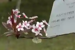 半木神社(京都府)