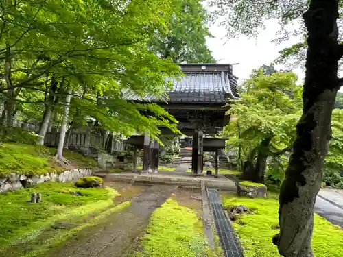 珍蔵寺　の山門