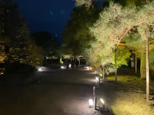 平安神宮の自然