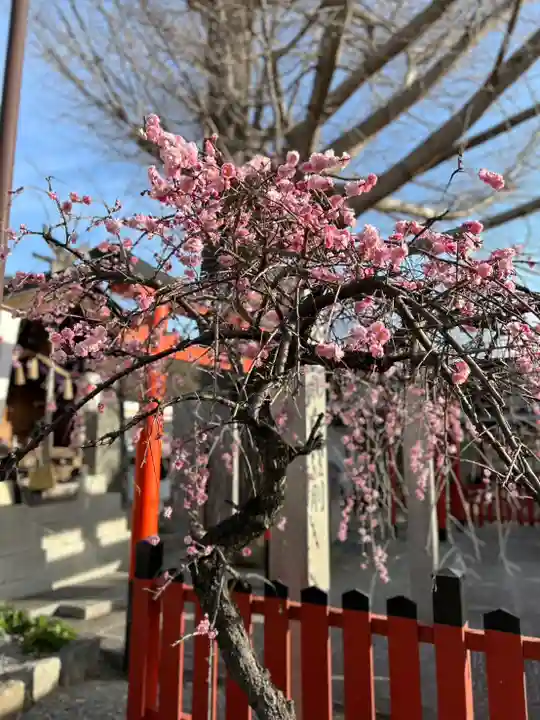 瀧宮神社(広島県)