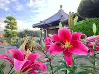 真言宗 善通寺派 薬王寺(香川県)