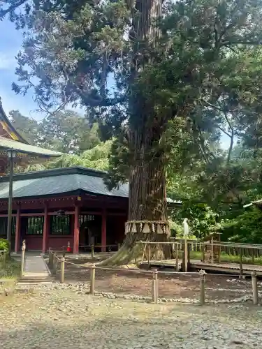 志波彦神社・鹽竈神社(宮城県)