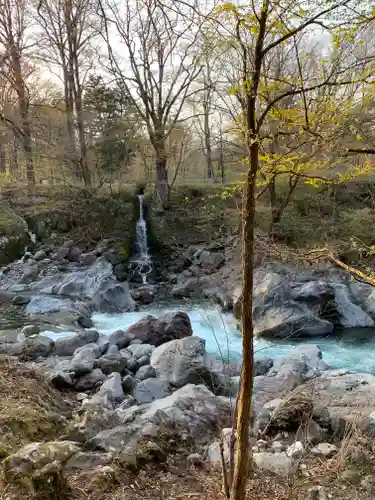 慈雲寺（並び地蔵　化け地蔵）の自然