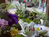 滑川神社 - 仕事と子どもの守り神の手水舎