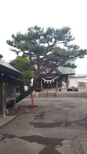 稲荷神社（鍛冶稲荷神社）(北海道)