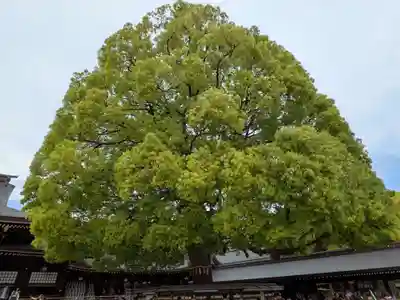 明治神宮(東京都)