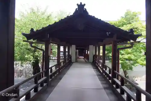 妙顯寺（妙顕寺）(京都府)