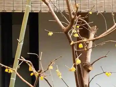 遠照山 光明寺（尼崎大仏）(兵庫県)