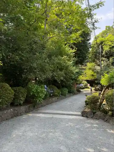 富士山本宮浅間大社(静岡県)