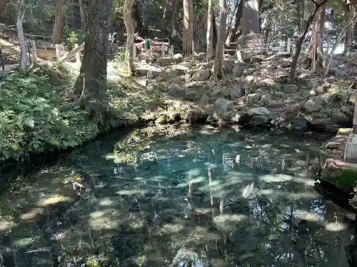 泉神社(茨城県)