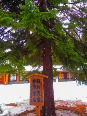 北海道神宮(北海道)