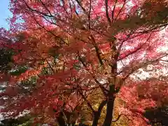 吉祥院(愛知県)