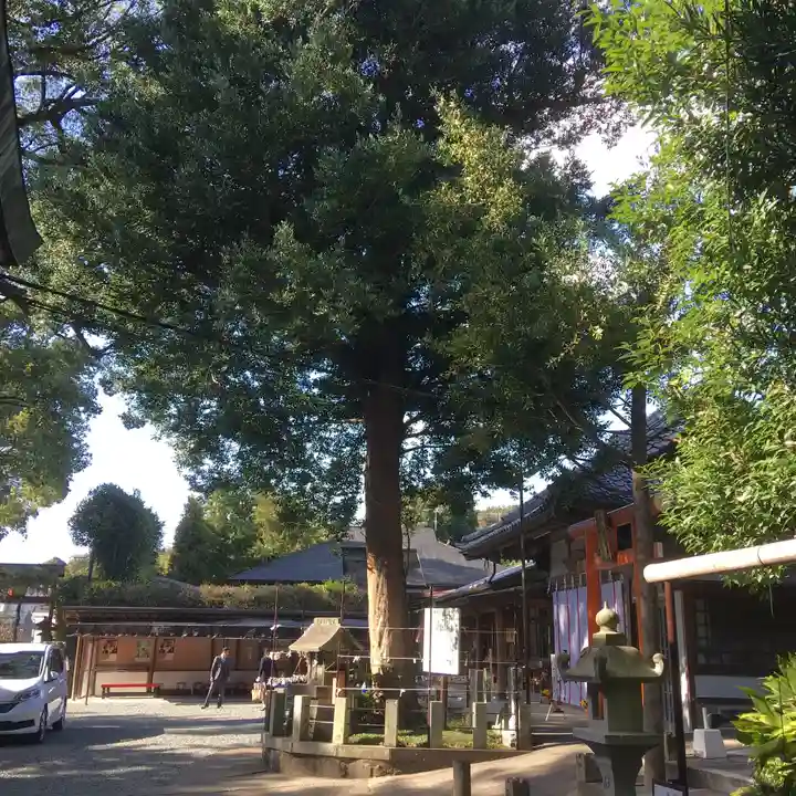 立田阿蘇三宮神社の自然