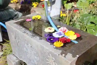 身代り不動尊　大明王院　川崎別格本山(神奈川県)