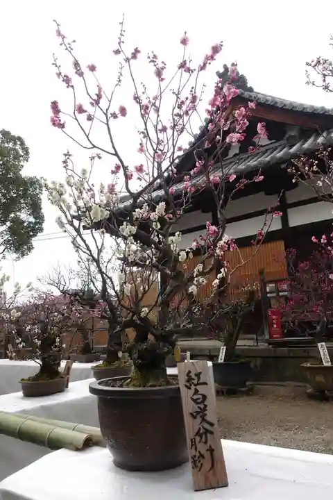 菅原天満宮(菅原神社)のその他建物