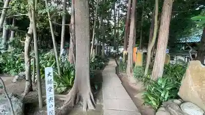 三寳寺(東京都)