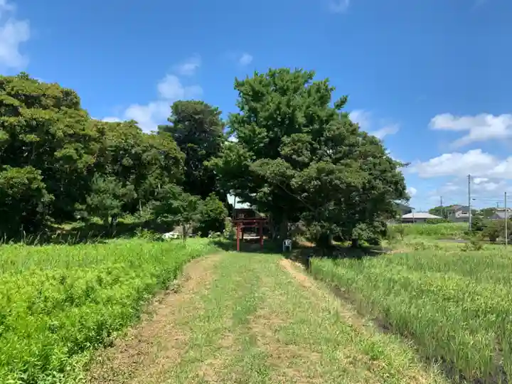 天神社(千葉県)