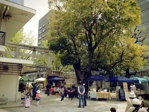 難波神社の自然