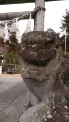 小鹿神社の狛犬