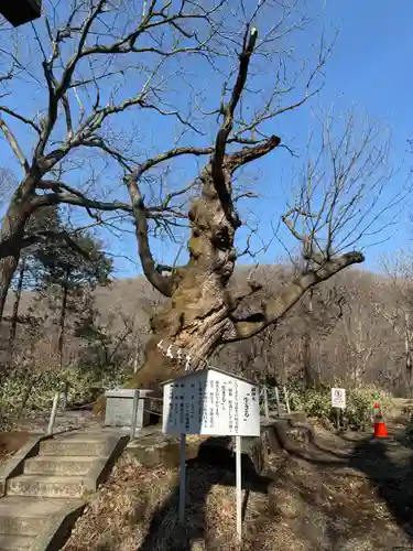那須温泉神社(栃木県)