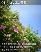 宝光寺(北海道)