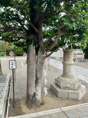 健田須賀神社(茨城県)