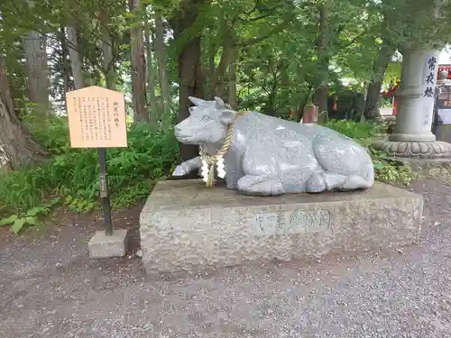 冨士御室浅間神社の狛犬