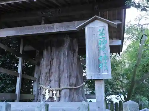 阿蘇神社のその他建物