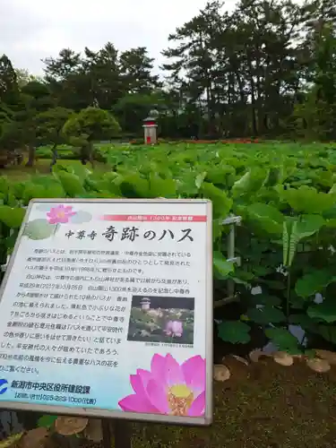 白山神社(新潟県)