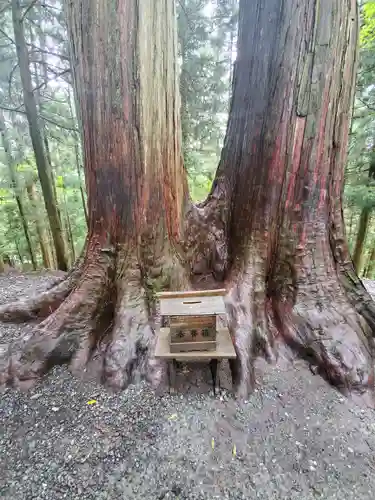 三峯神社の自然