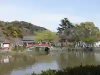 鶴岡八幡宮(神奈川県)