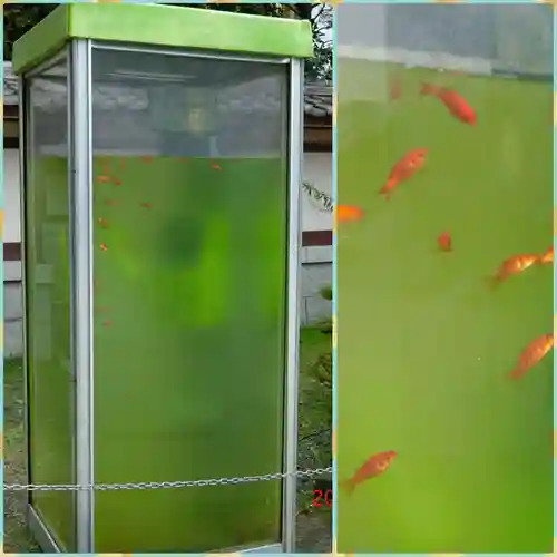 川崎大師（平間寺）のその他建物