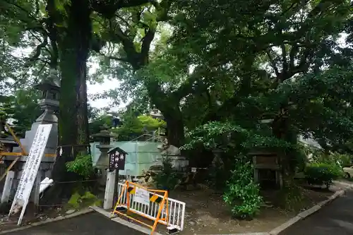 加納天満宮の自然