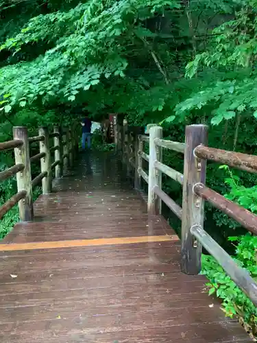 温泉神社の周辺
