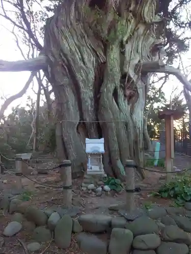大瀬神社の自然