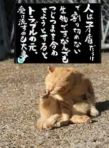 専念寺(大阪府)(2023年02月13日(月) 20時23分43秒投稿)