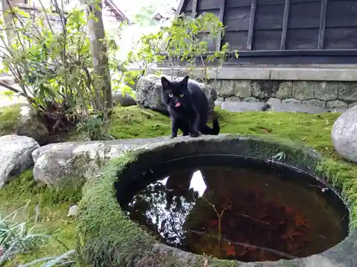 清泰寺(岐阜県)