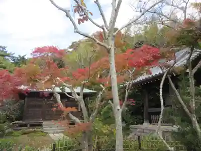 浄光明寺(神奈川県)