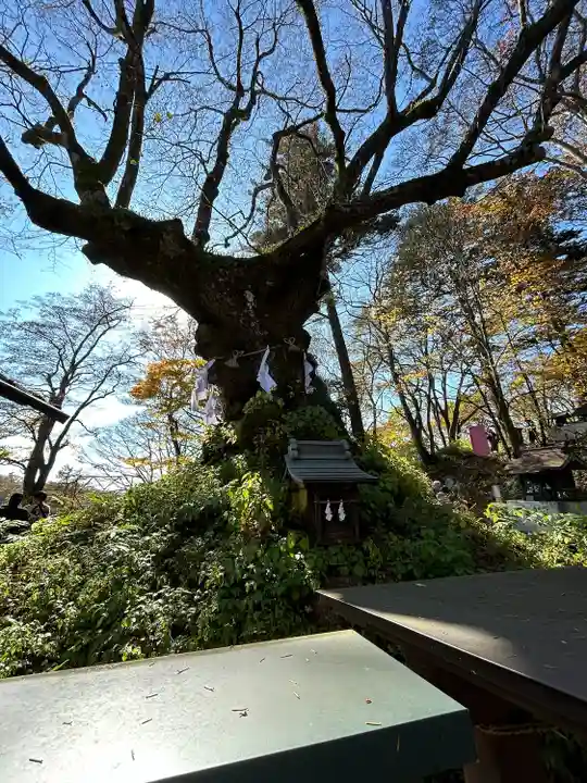 熊野皇大神社(長野県)