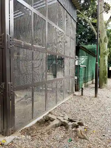 岩槻久伊豆神社の動物