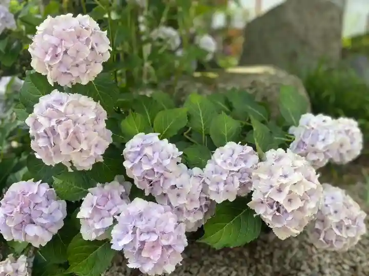 美奈宜神社(福岡県)