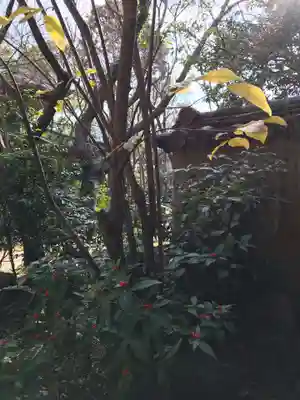 覚苑寺(山口県)